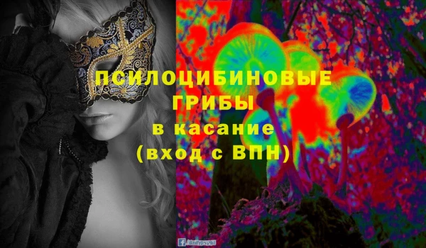 прущие крисы Балахна