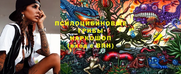 прущие крисы Балахна