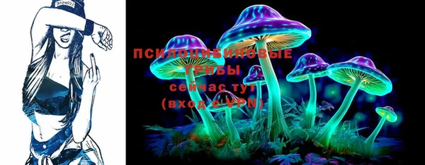 прущие крисы Балахна